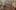 Jann Haworth and Liberty Blake, Work in Progress (2016-ongoing) A long collage of over 100 women from across 3000 years of history, all trailblazers in the arts, sciences and social activism.